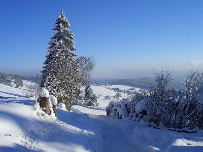 Winterlandschaft nahe Saig