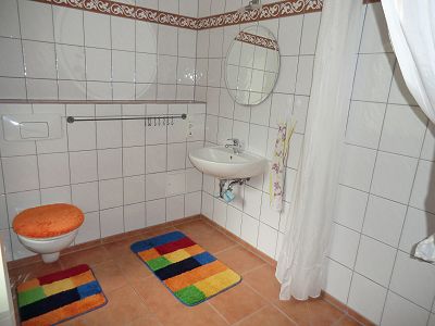 rollstuhlbefahrbare Dusche im Erdgeschoß